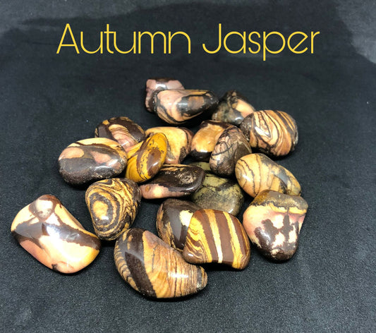 Autumn Jasper